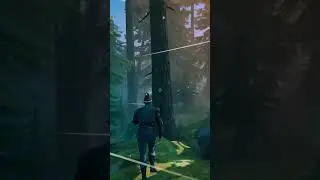 Valheim How To Get Core Wood  