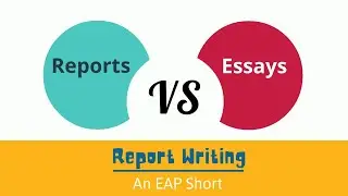 What is a report?