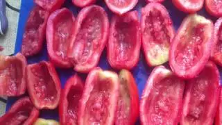 Вяленые и сушеные помидоры