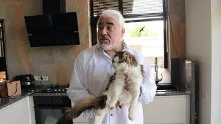 «Мы в ответе…» с Владимиром Самсоновым