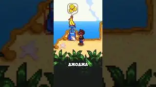 ЗОЛОТОЙ ПОПУГАЙ В STARDEW 