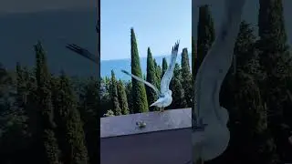 Чайка прилетела на балкон гостиницы в Мисхоре