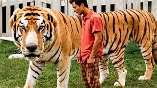 20 RAREST Dogs In The World You Won't Believe Exist