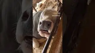 отдых после секса