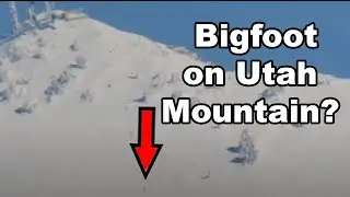 VIDEO OF BIGFOOT On Mt Ogden Utah?