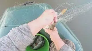 Проверяем  сеть.  Хорошо.