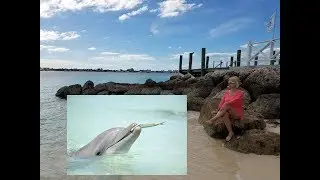 🐬ВСТРЕЧА С ДЕЛЬФИНАМИ НА ОСТРОВЕ BALLMORAL/ЭТО НЕ ЗАБЫВАЕМО...