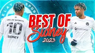 SIDNEY FRIEDE  HIGHLIGHTS!⚽🔥