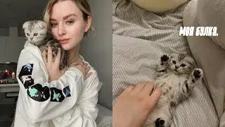 У МЕНЯ ПОЯВИЛСЯ КОТЁНОК 🤍