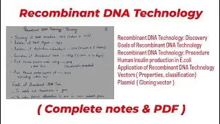 Recombinant DNA Technology | Biotechnology and its applications class 12 |  Biotechnology BSC 3rd yr