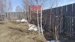 Миг на пасеке. 11.04.2022 г.   Кыштовка