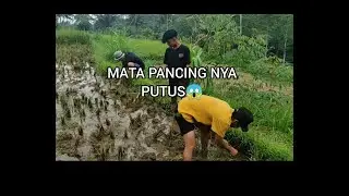 MANCING BELUT YANG ANEH