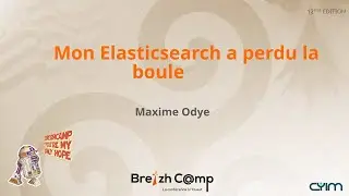 🆘 Mon Elasticsearch a perdu la boule 😵‍💫 (Maxime Odye)