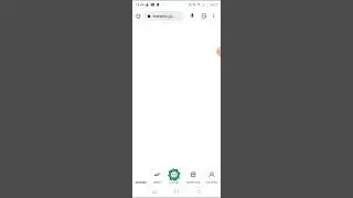 Всем привет! Это обзор на сайт Star.pets