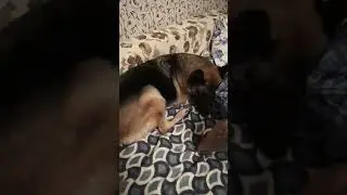 Ролик без прикрас, как оно есть😂