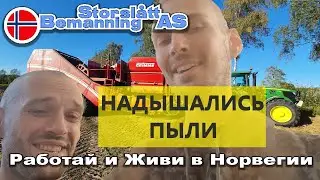 Как мы с папой отрывались на уборке картошки в Норвегии