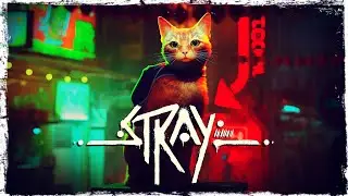 Stray | Полное прохождение в прямом эфире