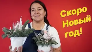 🌷День в цветочном магазине 🌲Новогодние композиции и не только!