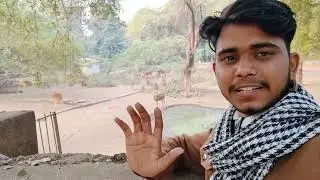 Gwalior Zoo Full Tour || Enjoy Full Tour 😍 || Warning ❓