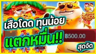 ปั่นสล็อตยังไงให้แตก สล็อตเกมเสือpg สอนปั่นสล็อตpgปั่นแตกง่าย แตกหนัก 100%