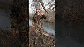 охота на медведя с вилами