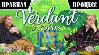 5 ХОДОВ в настольную игру 