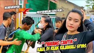 PAWANG CANTIK KAUL DI REAK ❗❗ BEST MOMENT - KUDA LUMPING REAK RAJAWALI SPMS 💥 KALAM OFFICIAL