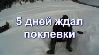 Смешная поклевка