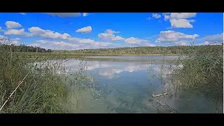 Рыбалка на фидер и донки. Первый опыт на подлещика. Река Северский донец.