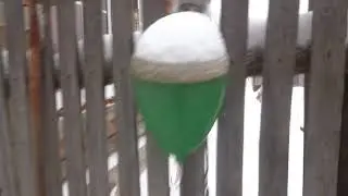 Мое хозяйство ! Зимовка 2017-2018 Полет нормальный!)))