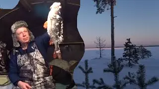 Рыбалка на болотах.  Закрытие сезона.