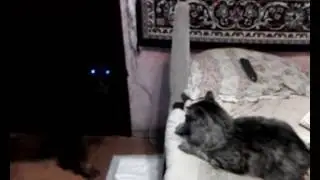 ВАСИЛИЙ ВАСИЛЬЕВИЧ - СИБИРЯК И ЗЕНА **КОРОЛЕВА ВОЙНОВ**