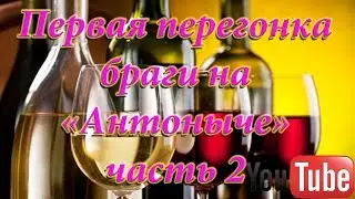 Первая перегонка браги на 