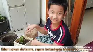Belajar menanam Kaktus