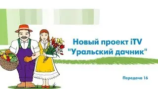 «Уральский дачник» - программа 16. ITV-Миасс. 1 сентября 2018