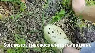 Неудобная обувь. Кроксы с дырочками.