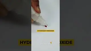 Blood vs Hydrogen peroxide || IE Experiment || Infinite Engineers