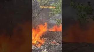 Две девочки поиграли спичками. Итог: пожар, тушение своими силами и потом пожарные машины заливали.
