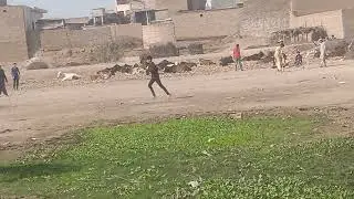 village vlog video