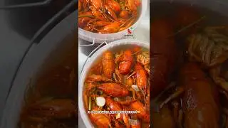 «РАКИОКИ»🦞👌🏻 накормят!🤗 