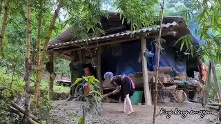 Vàng Hoa miss you zon with the wild boar, Survival instinct, Wilderness Alone, Ep 223