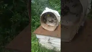 Каждый год что то новое! 18+