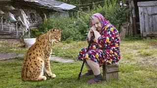 Оставшись последней в деревне, одинокая бабушка уже не хотела жить, пока не встретила её