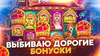 СНОВА КРУЧУ DOG HOUSE MULTIHOLD ! СЕГОДНЯ ФАРТИТ ! ЗАНОСЫ НЕДЕЛИ !