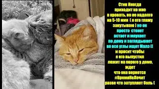 В память о Малэ