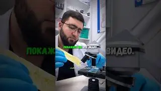 После этого видео, вы больше не захотите есть чипсы, ведь они очень вредны ☝🏼