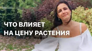 ЧТО ВЛИЯЕТ НА ЦЕНУ РАСТЕНИЯ? Обсудили в этом видео и прогулялись по э Садовому центру Gardens