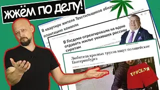 «Красные труселя», «Особняк для сироты» и «Конопля под прикрытием»