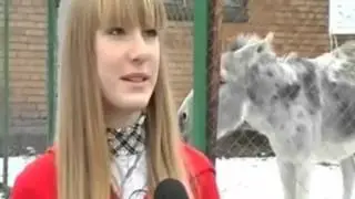 ЖЕСТЬ В ПРЯМОМ ЭФИРЕ НА ТВ 18+