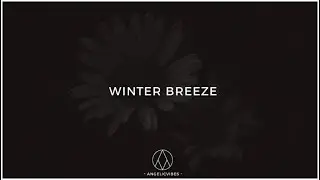 Trap Sample Pack | Trap Soul Samples | Trap Loops | Winter Breeze